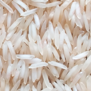 1401 Creamy Sella Basmati Rice