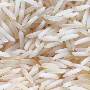 Sharbati Steam Rice