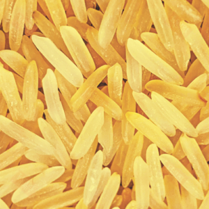 Sugandha Golden Sella Rice