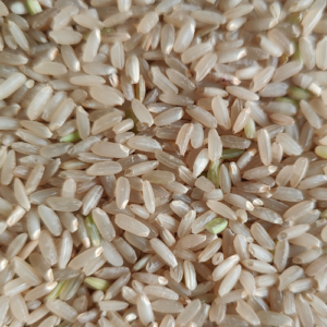 Medium Grain Brown Rice