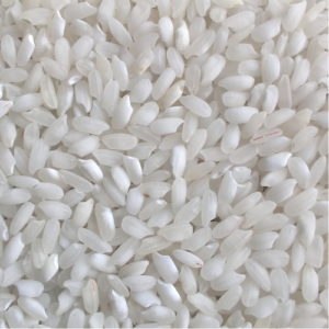 Round Grain White Rice