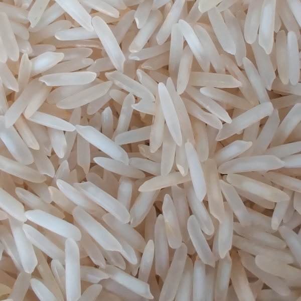 1121-Raw Basmati Rice by Indiafeast Millers Private Limited