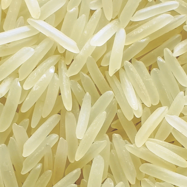 1509 Creamy Sella Basmati Rice by Indiafeast Millers Private Limited