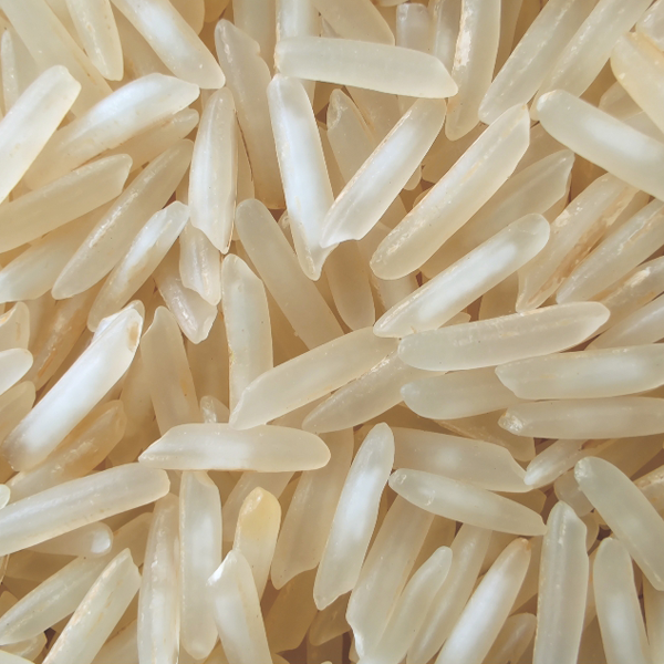 1509 Steam Basmati Rice by Indiafeast Millers Private Limited