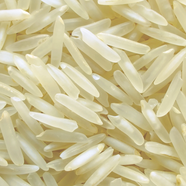 Pusha Steam Rice by Indiafeast Millers Private Limited
