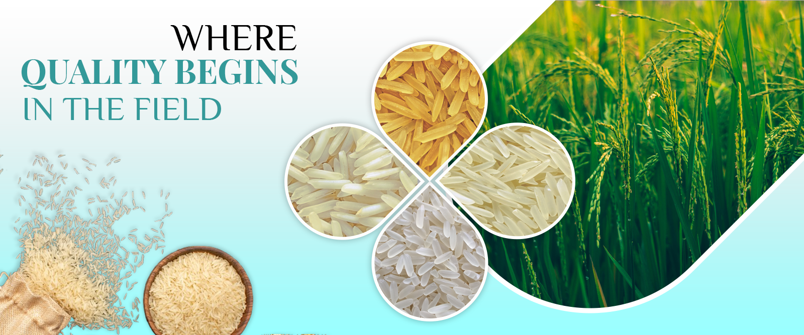 Variety of Indiafeast Basmati Rice.